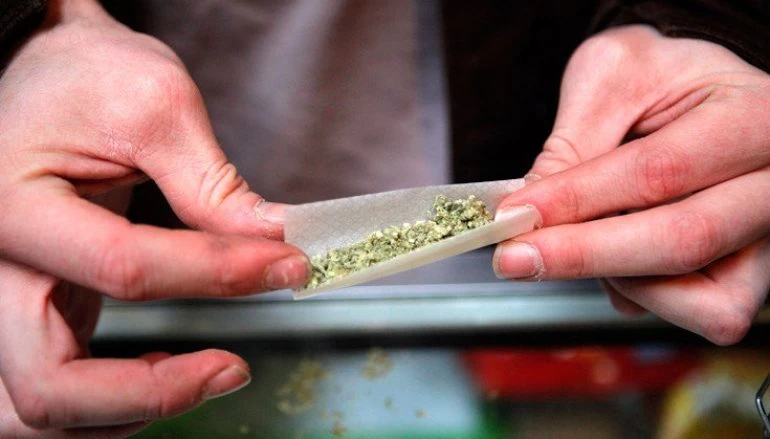 Χρήση κάνναβης κατά την εφηβεία: Επιπτώσεις στην ενήλικη ζωή